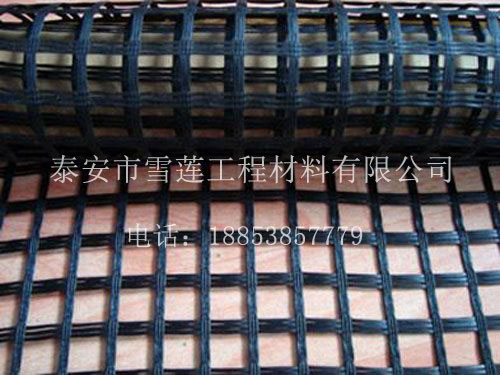 雙向鋼塑土工格栅
